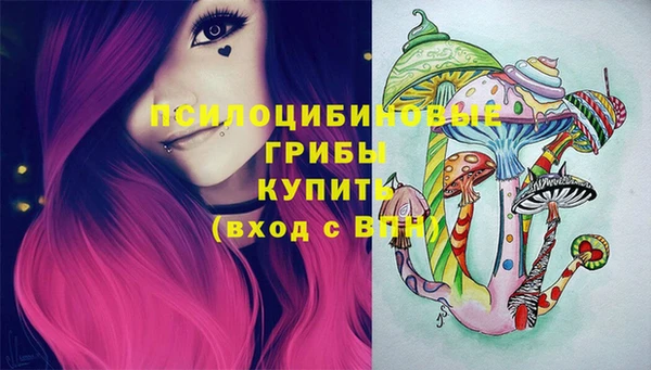 амф Медвежьегорск