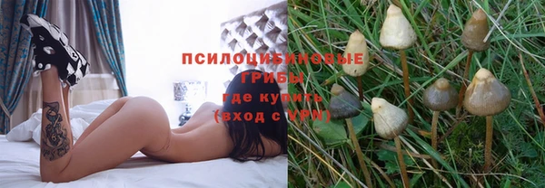 амф Медвежьегорск
