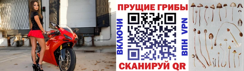 Псилоцибиновые грибы мухоморы  что такое   Талдом 